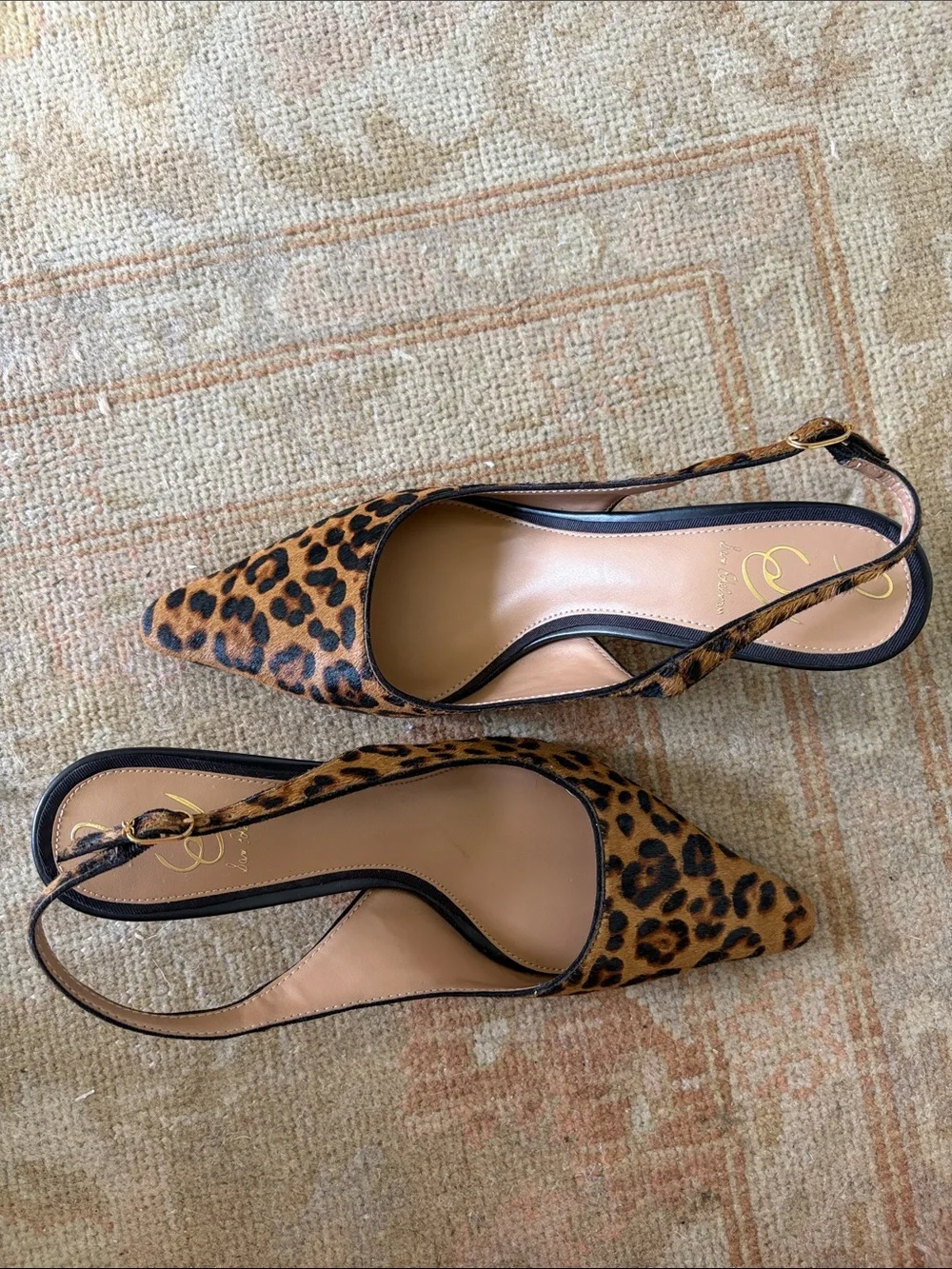Cheetah kitten heels - Picture 5 of 5